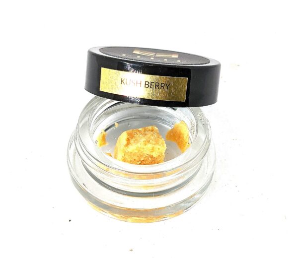 BUDDER - ELITE ELEVATION