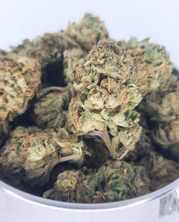 GIRL SCOUT COOKIES