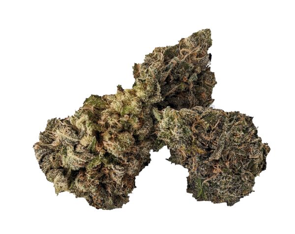 JACK FROST (AAAA) - Image 2