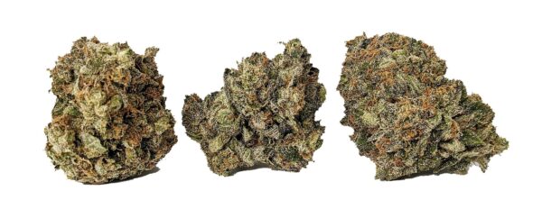 JET FUEL (AAA+) - Image 2