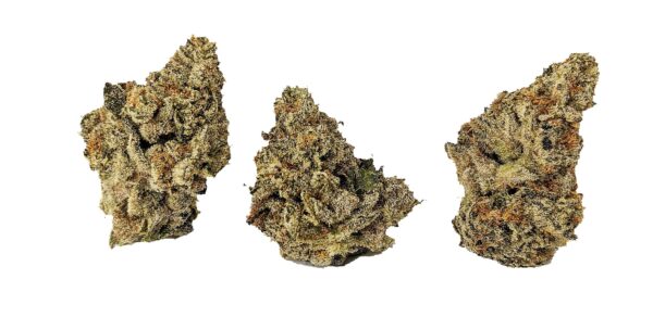 LEMON BANANA SHERBET (AAAA) - Image 2