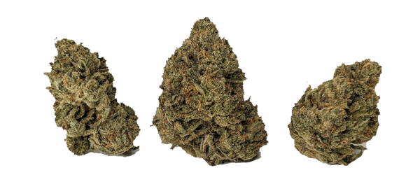 MASTER KUSH (AAA+) - Image 2