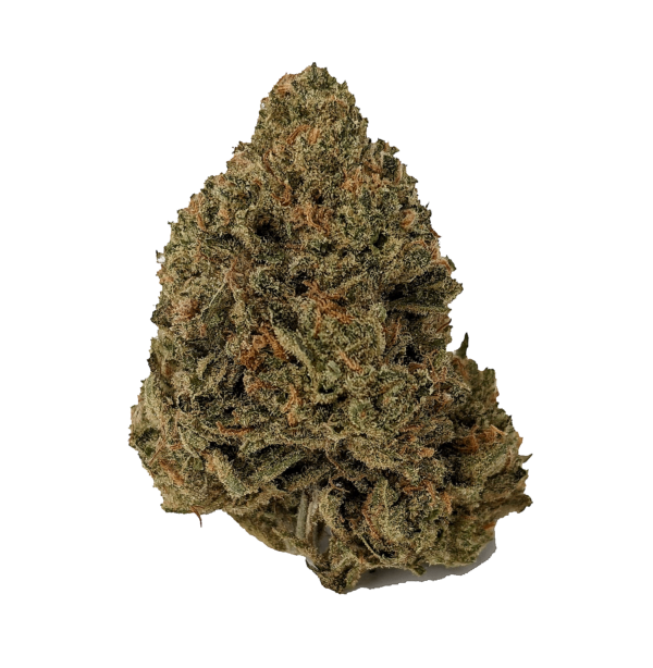 MASTER KUSH (AAA+)