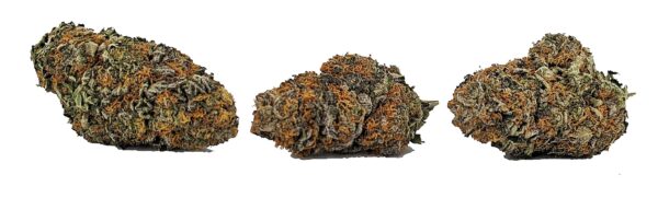 PLATINUM COOKIES (AAA) - Image 3