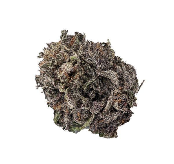 PURPLE GOD (AAA+)