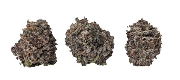 PURPLE GOD (AAA+) - Image 2