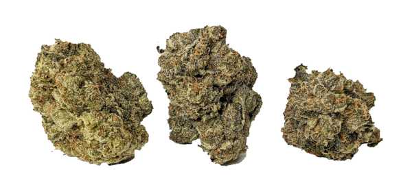 RIPPED BUBBA - Image 2