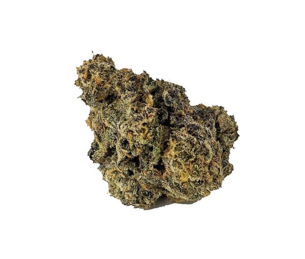GELATO 33 (AAAA)
