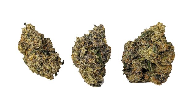 GELATO 33 (AAAA) - Image 2