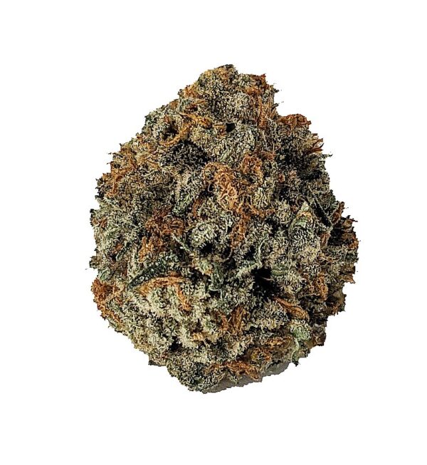 NORTHERN HASHPLANT
