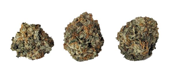NORTHERN HASHPLANT - Image 2