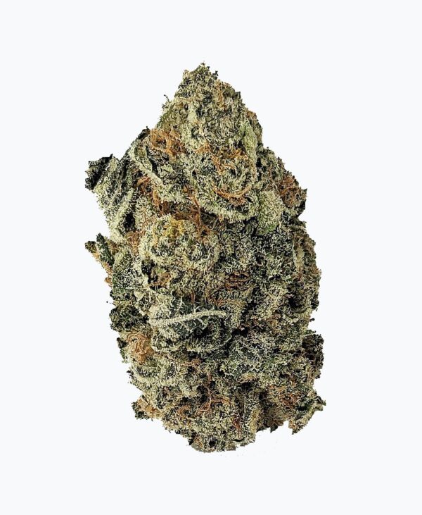 MAUI WOWIE (AAA)