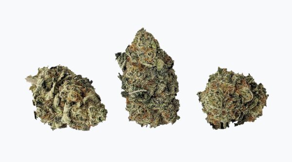 MAUI WOWIE (AAA) - Image 2