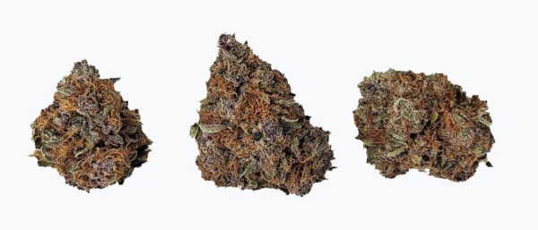 PURPLE MENDOCINO - Image 2