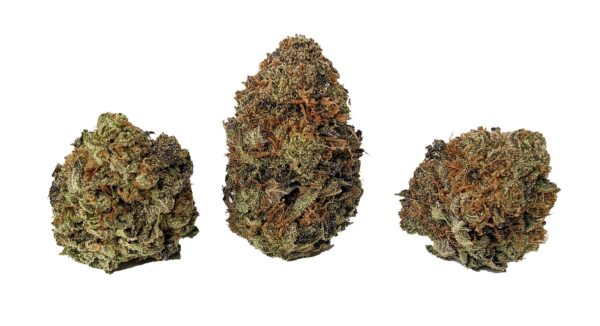 SOUR RASPBERRY - Image 2