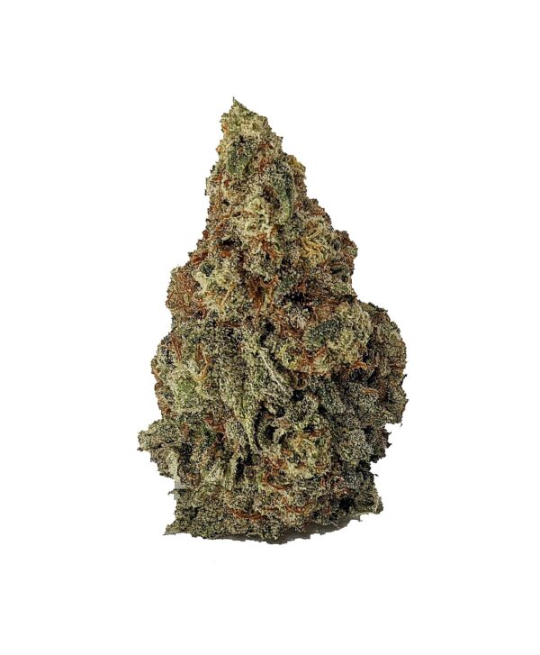 DOSI PUNCH (AAAA)