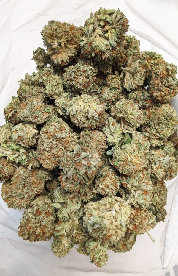 GODS BUBBA (AAA) - Image 2