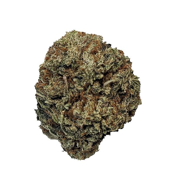 GODS BUBBA (AAA)