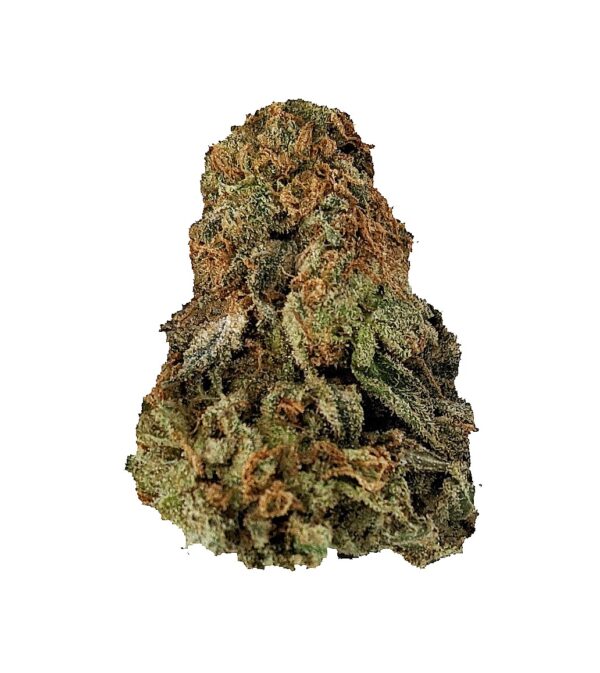 GORILLA DAWG (AA+)