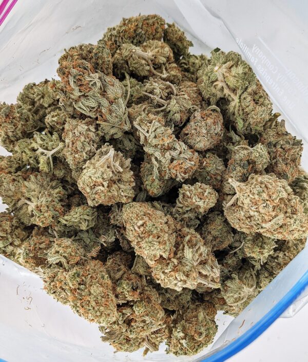 GORILLA DAWG (AA+) - Image 2