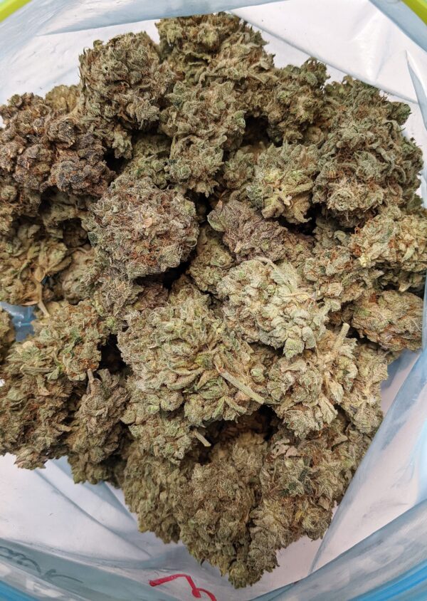 BLACKBERRY SNOW CONE (AA+) - Image 2