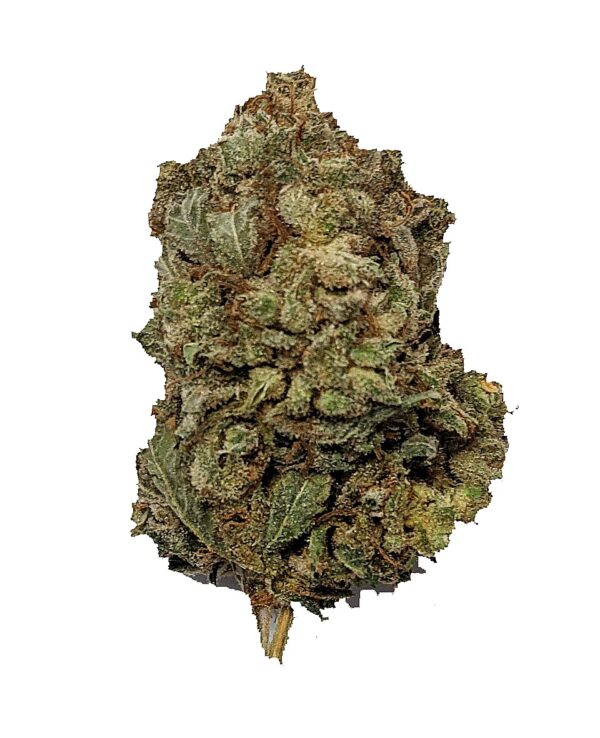 BLACKBERRY SNOW CONE (AA+)