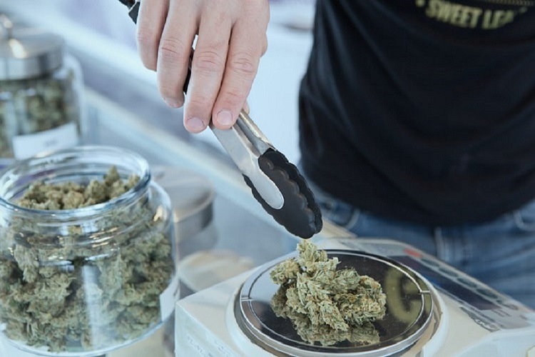 Storing Cannabis: 5 Tips to Keep Weed Fresh