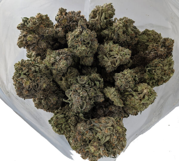 ROCKSTAR TUNA (AAAA) - Image 2