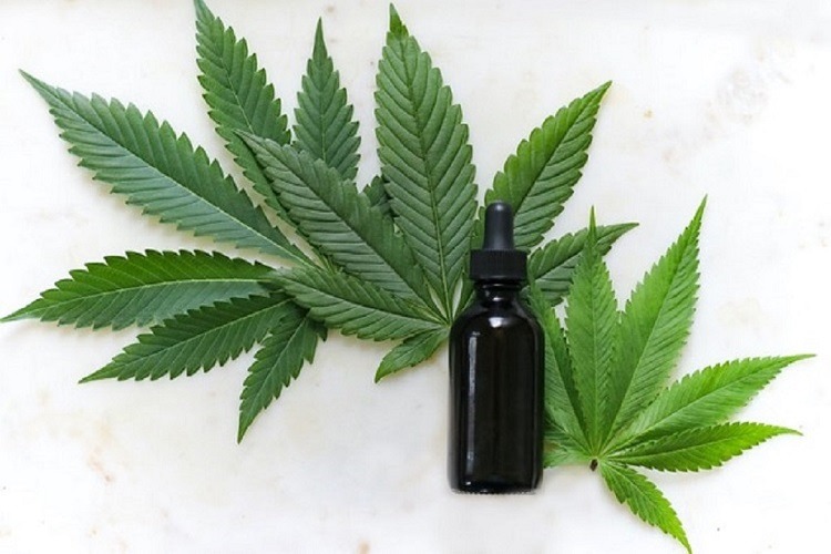What Does Full Spectrum Hemp Oil Mean?