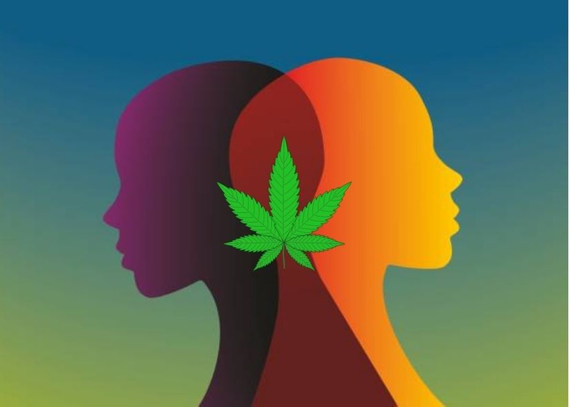 CBD and Bipolar Disorder: Benefits, Risks, and More