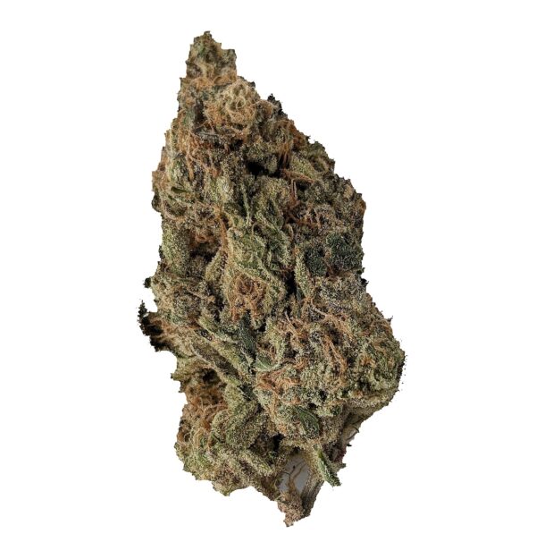 ANIMAL MINTS (AAA+)