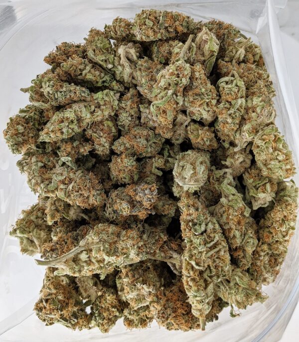 SWEET TARTS (AAA+) - Image 2