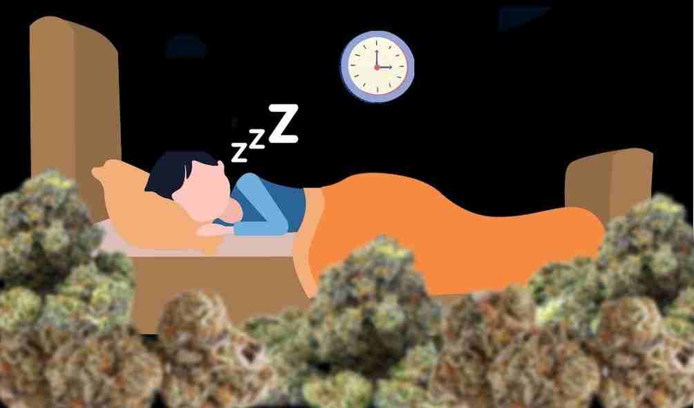 buy medical weed online