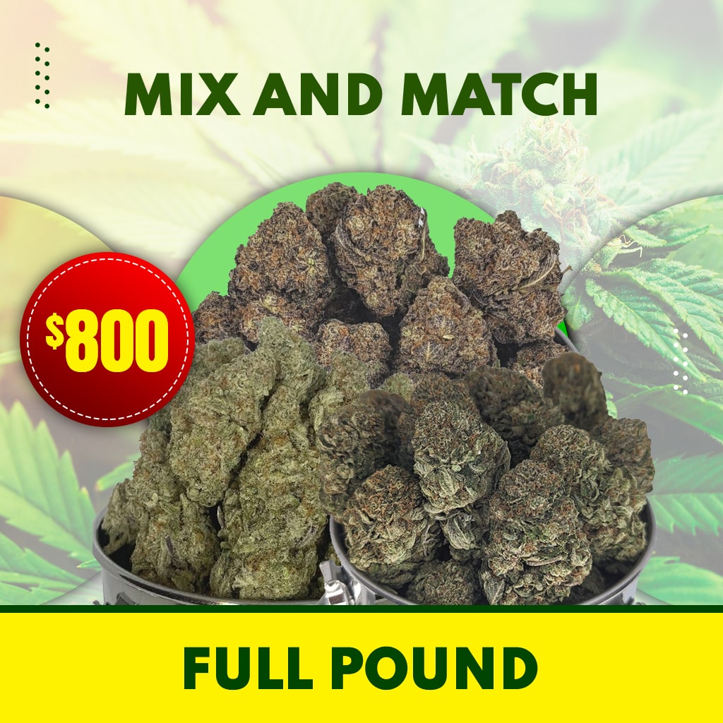 ELITE'S FULL POUND MIXER