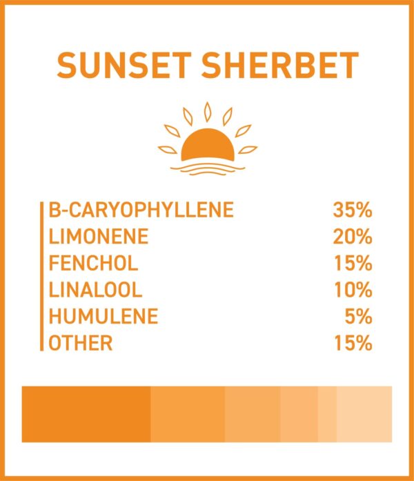 BOOST THC VAPE CARTRIDGES - SUNSET SHERBET - Image 2