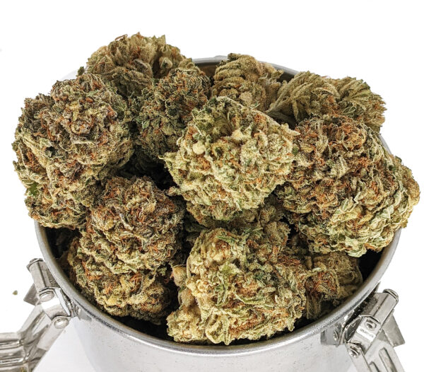 CALI ORANGE BUD (AAA)