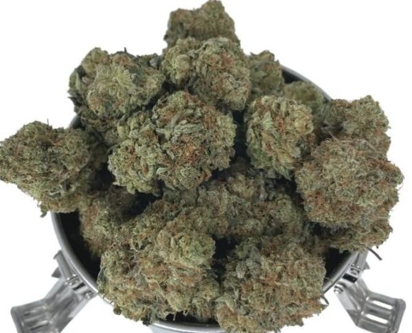 WHITE GAS