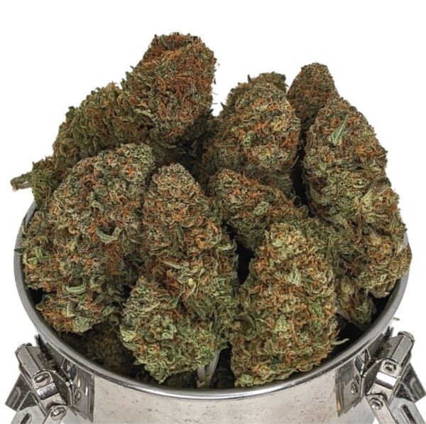 STRAIN OF THE WEEK - RUNTZ (AAA) - Image 2