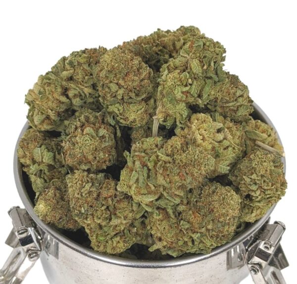 VIOLATOR KUSH