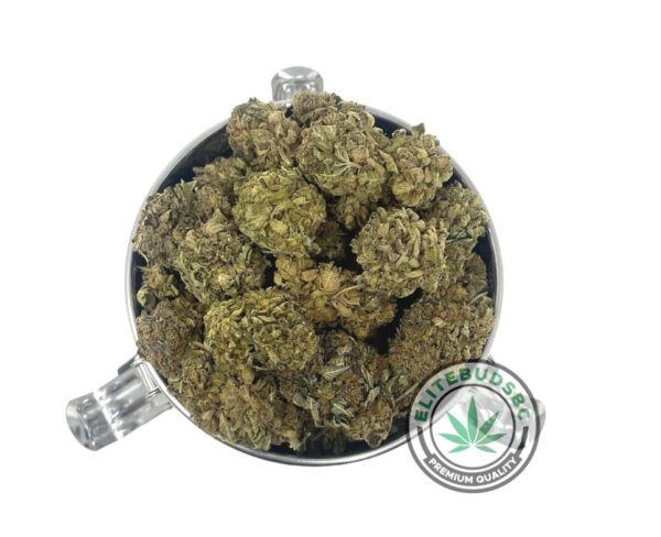 MASTER KUSH (AA) Strain