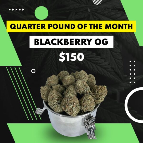 QP OF THE MONTH - BLACKBERRY OG