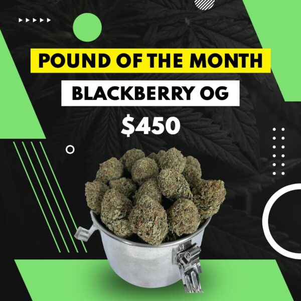 POUND OF THE MONTH - BLACKBERRY OG