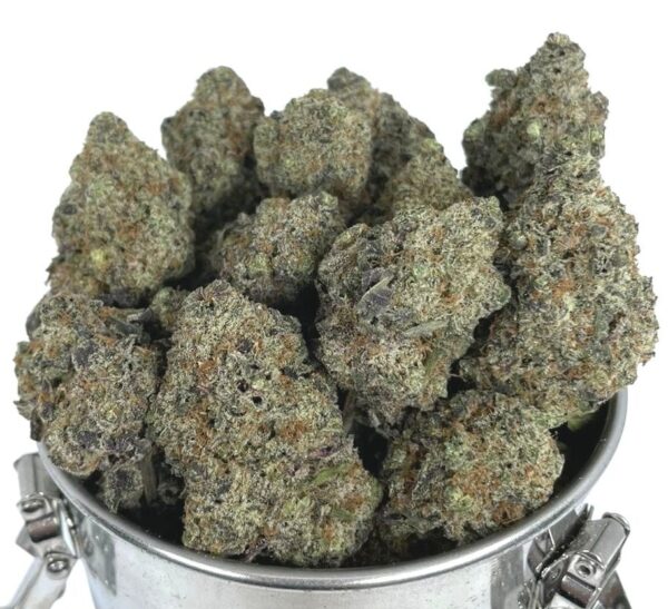 BLACK D.O.G. (AAAA)