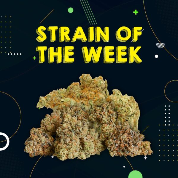 STRAIN OF THE WEEK - RUNTZ (AAA)
