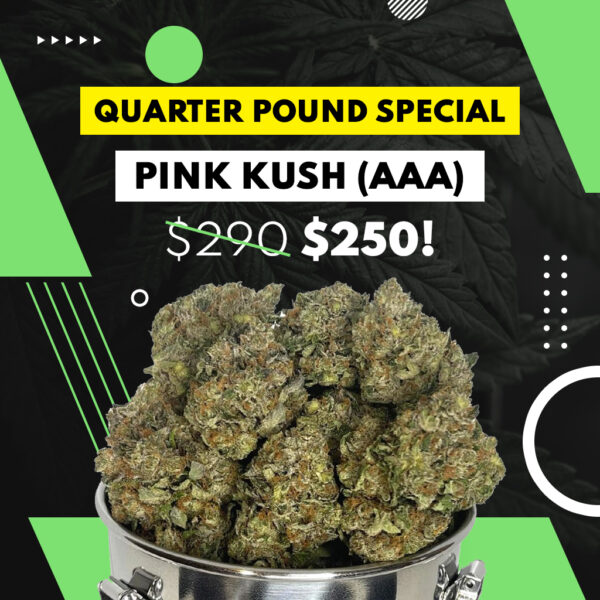 QP SPECIAL - PINK KUSH (AAA)