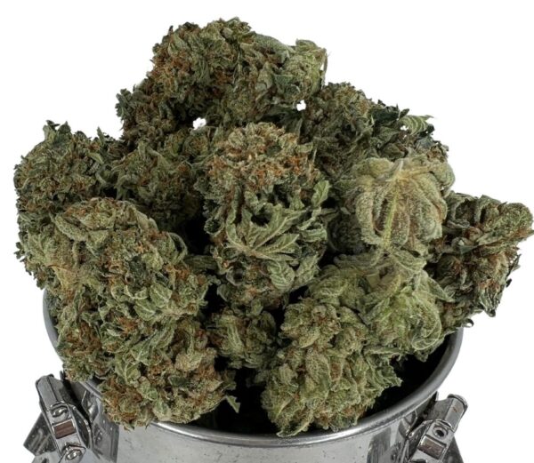 TOM FORD PINK KUSH
