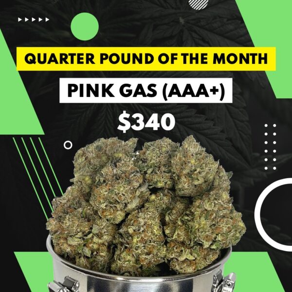 QUARTER POUND OF THE MONTH - Pink Gas (AAA+)