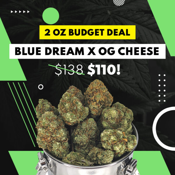 2 OZ BUDGET DEAL - BLUE DREAM X OG CHEESE