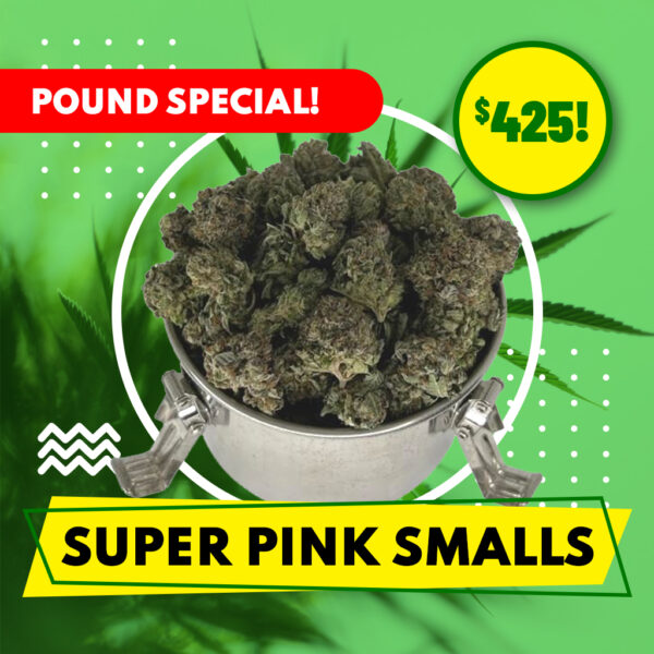 POUND SPECIAL - SUPER PINK 'SMALLS'