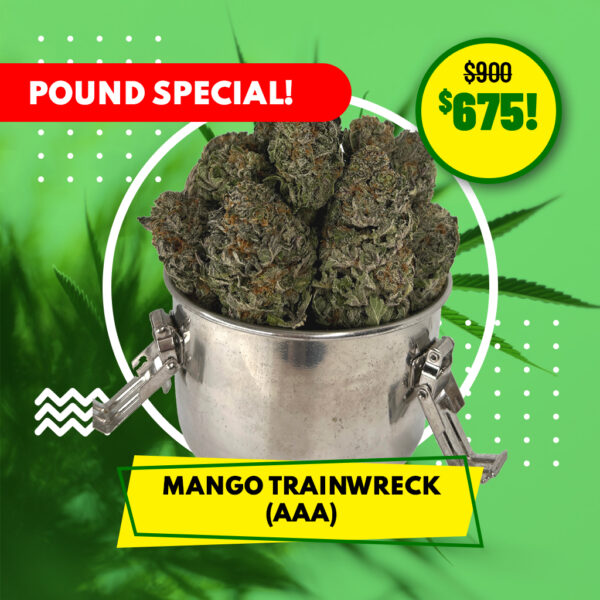 POUND SPECIAL - MANGO TRAINWRECK (AAA)